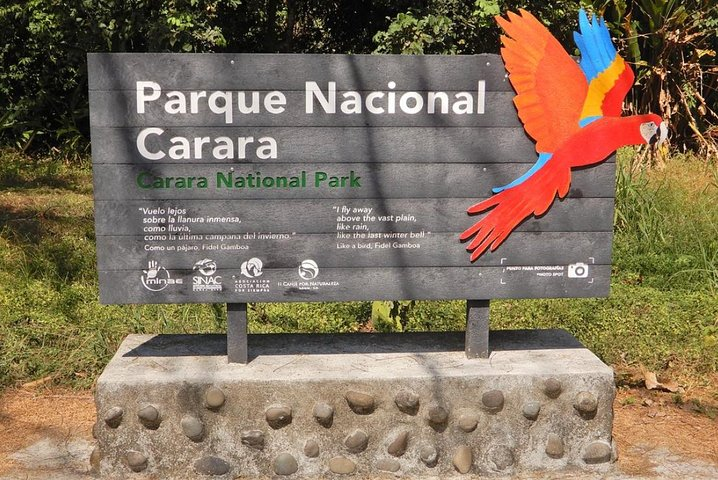 Ready to visit one of the best birding spots in the pacific area? 
Let us know and we will be happy to share facts and key markings to recognize your target during your stay in Costa Rica. 